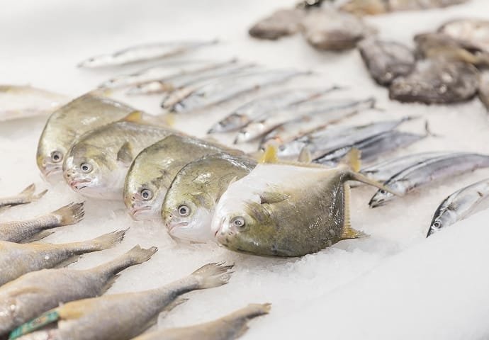 Planta procesadora de pescado Barco pesquero Enfriador de mariscos