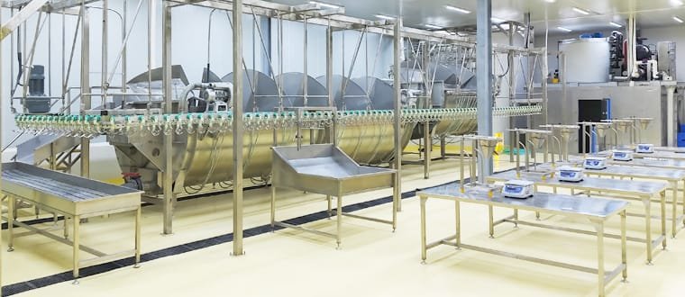 Poultry Abattoir Slaughter Line&Chicken Slaughterhouse