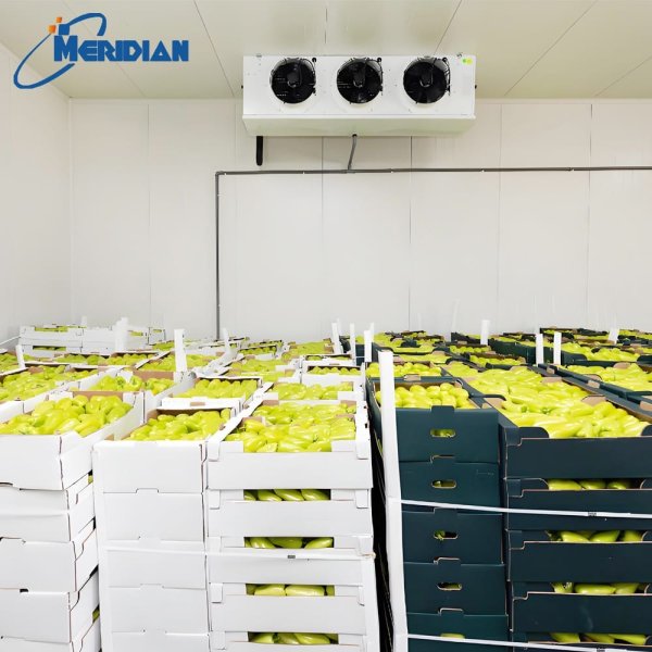 Cámara frigorífica para frutas y verduras