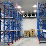 Interior of 200 tons cold storage room with shelving racks