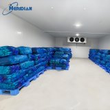 Interior view of fresh produce cold room with crates