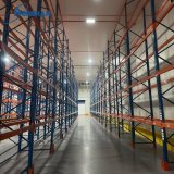 Bulk seafood storage inside high-volume cold room