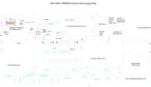 Línea Automática de Sacrificio de Pollos 500–1500 Aves por Hora